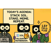 为什么企业纷纷囤积SOL？