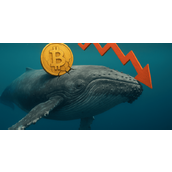 James Wynn又亏了！平仓比特币多单认赔2048万美元，不死心发文：要把1亿赚回来