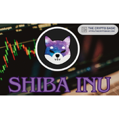 以下是2040年或2050年1000美元Shiba Inu可能的价值