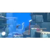 《潜水员戴夫》星斑叉鼻鲀抓捕哪几种