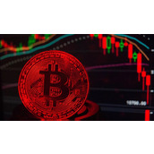 比特币逼近历史高点！分析师：缺利多支撑、恐涨不上去