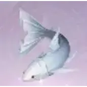 《无限暖暖》纱裙鱼获得方法有哪些