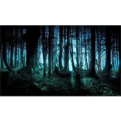 加密黑暗森林中的角色一览