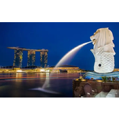 从理想国到“驱逐地”：5位 Web3 从业者眼中的新加坡变局