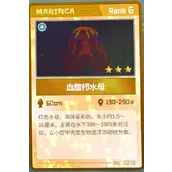 《潜水员戴夫》血腹栉水母抓捕怎样