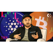 Solana Labs联合创始人称Cardano的BTC国库策略为"愚蠢"之举