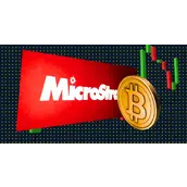 2025年购买比特币的顶尖公司——MicroStrategy不再孤单