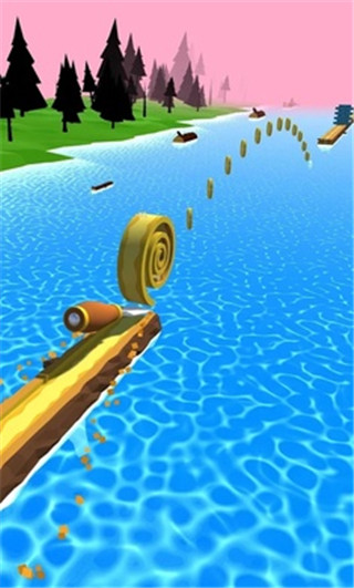 Spiral Roll