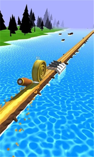 Spiral Roll