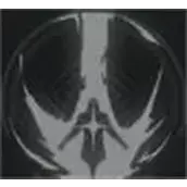 《星落》炎狼角色大全分享