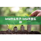 iota什么币子-iota币怎么样