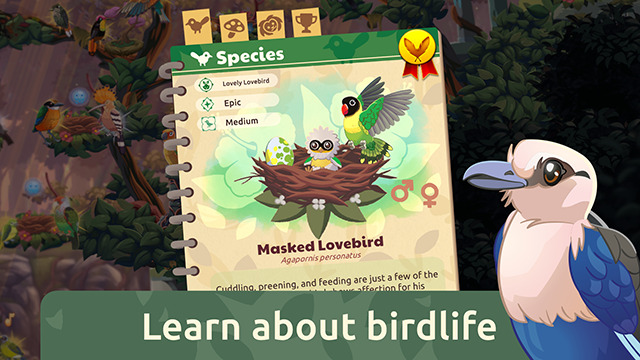 Bird Kind