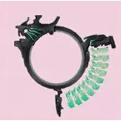 《炽焰天穹》和泉由希角色大全分享