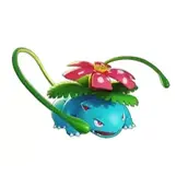 《宝可梦大集结》妙蛙花宝可梦有什么