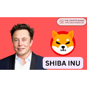 如果SHIB达到埃隆·马斯克净资产时1个柴犬币的价格