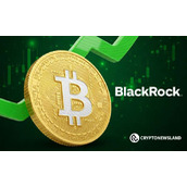 贝莱德购入6.4亿美元比特币 富达、方舟及Bitwise同期减持BTC