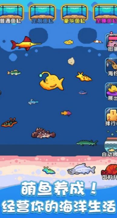 快来养鱼手机版