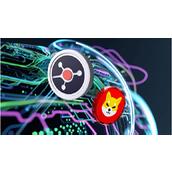 鲸鱼们盯上Ruvi AI（RUVI）成功审计后，早期红利或超越柴犬币（SHIB）的预测