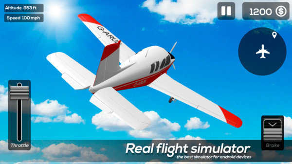 Realistic flight simulator