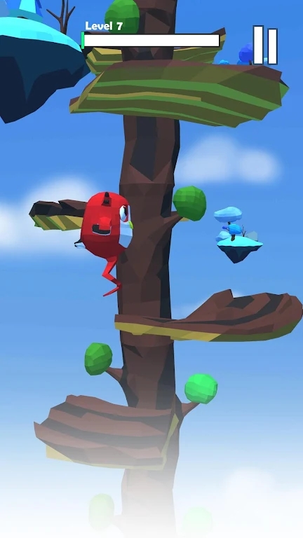 小鸟攀登Little bird climbing