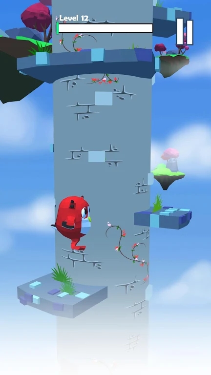 小鸟攀登Little bird climbing