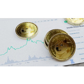 狗狗币内部人士向社区发出警告——你需要知道的事