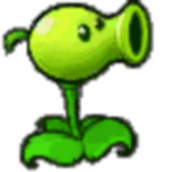 愤怒的植物大战僵尸捣蛋猪版