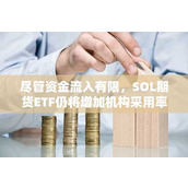 尽管资金流入有限 SOL期货ETF仍将增加机构采用率