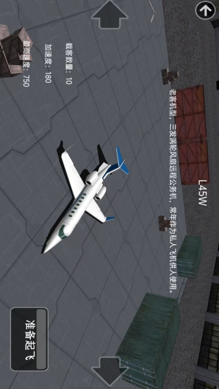 特技飞行驾驶