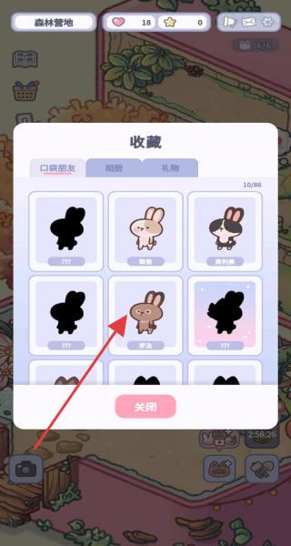 healing pocket