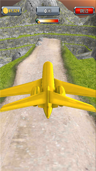 Crazy Plane Landing
