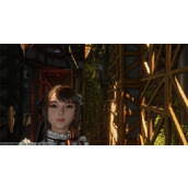 剑星猫咪摄影展任务攻略全猫咪位置一览