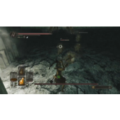 黑暗之魂2鼠王的试炼怎么打