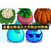 星露谷物语巨大作物如何种植