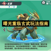 曙光重临玄武玩法指南