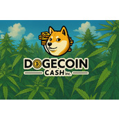 大麻公司 Dogecoin Cash 宣布建立狗狗币储备，股价反而跌了