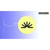 什么是Sahara AI加密货币？迷因币比AI币更好吗？