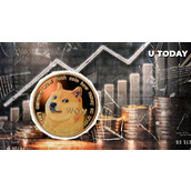 1,100,000,000个理由证明狗狗币即将起飞