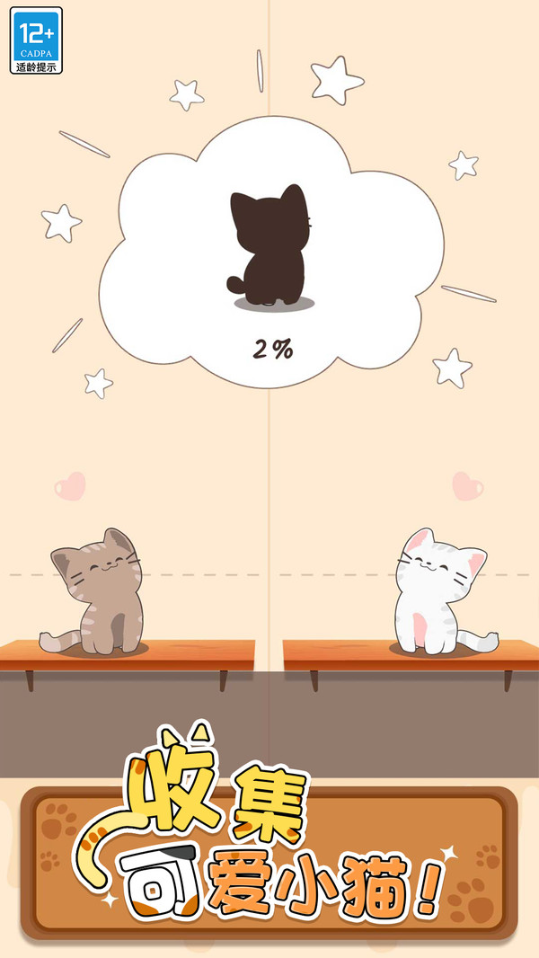 守护小猫
