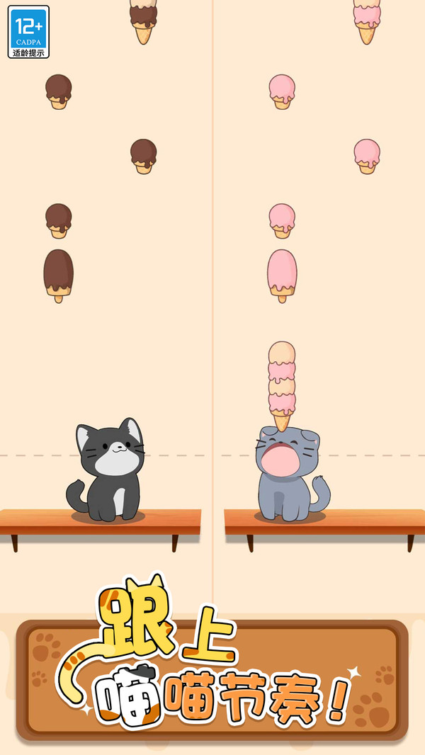 守护小猫