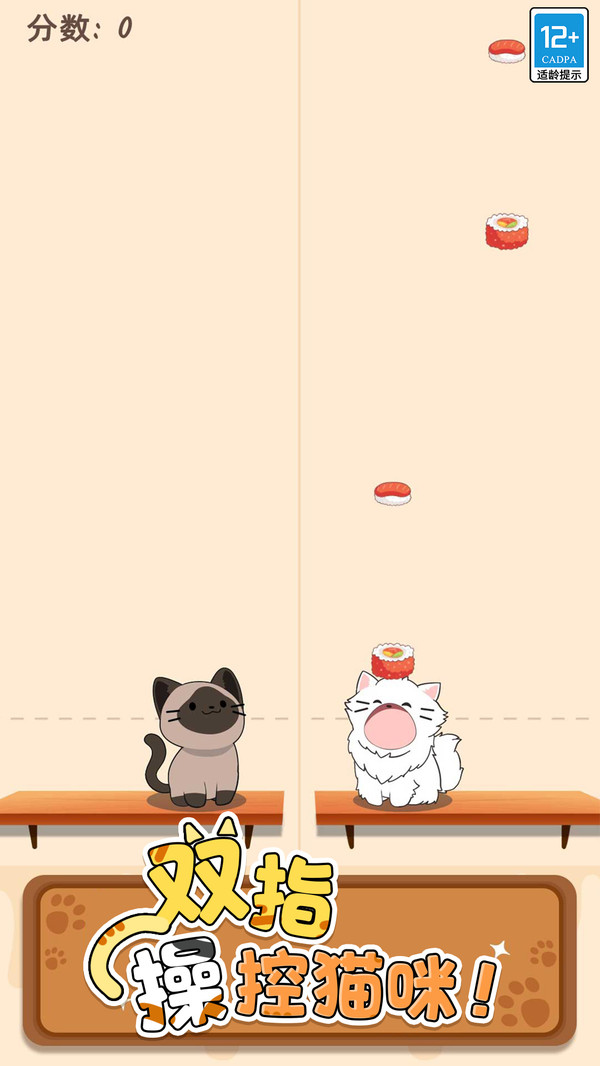 守护小猫