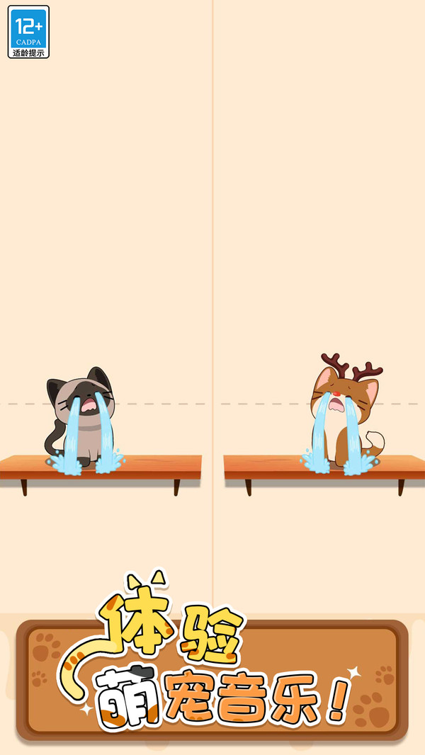守护小猫