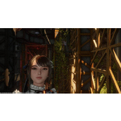 剑星猫咪摄影展全位置-剑星猫咪摄影展详细内容