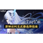 原神丝柯克武器选择指南