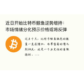 近日开始比特币鲸鱼逆势增持：市场情绪分化预示价格或将反弹