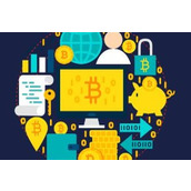 pi币目前多少钱一个 pi币当前价格实时更新