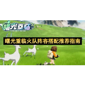 曙光重临火队阵容搭配推荐指南