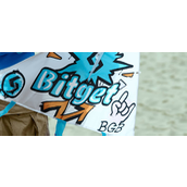 Bitget(BG)是什么交易所？Bitget交易所官网下载指南