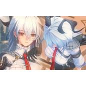 鸣潮赞妮养成突破材料一览