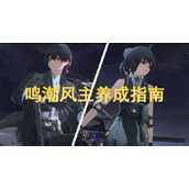 鸣潮风主养成指南